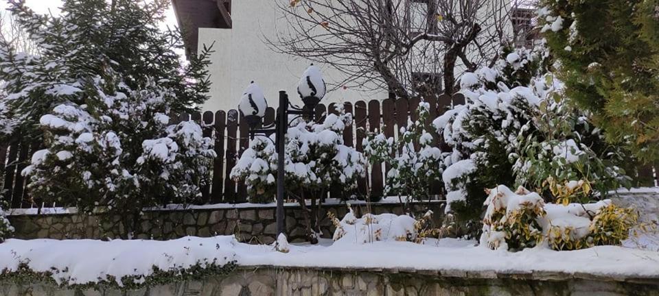 בנסקו Guest House Ela מראה חיצוני תמונה